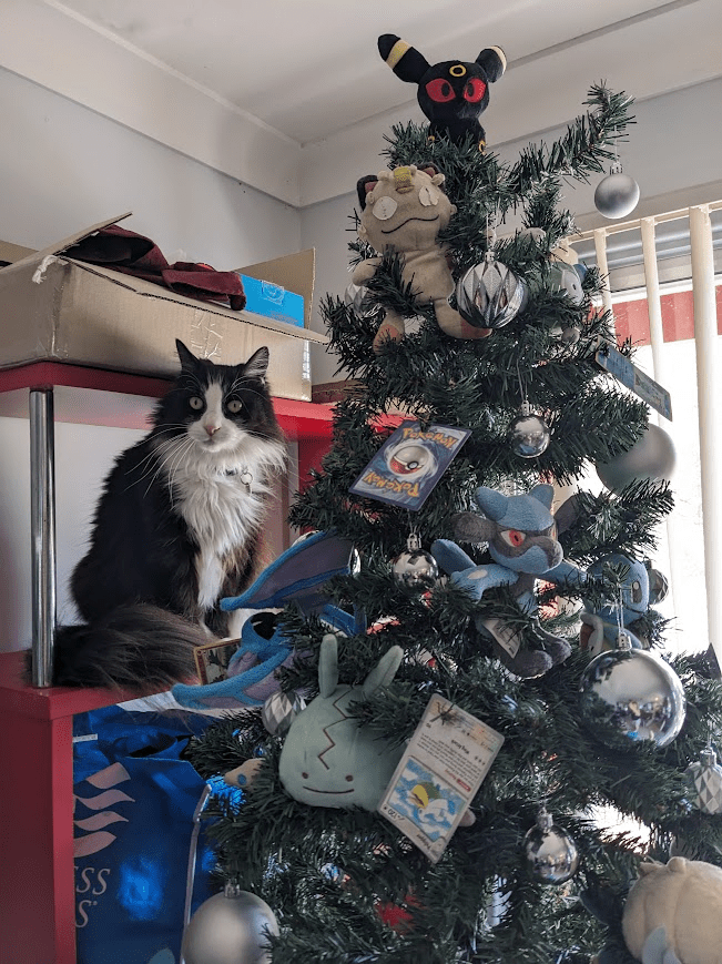 The top half of a green plastic Christmas Tree, decorated with silver baubles, Pokémon cards and Pokémon plushies. There is a red shelf against the wall behind the tree, and a fluffy tuxedo cat with yellow eyes sits behind the tree looking at the camera.