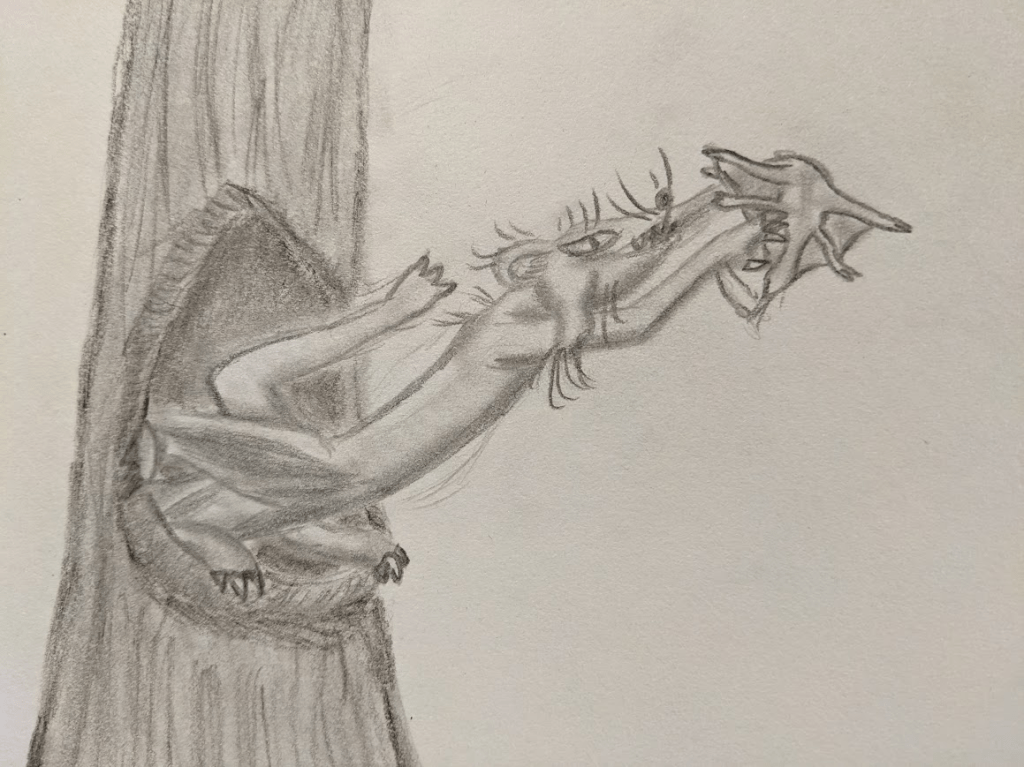 A graphite pencil sketch of a strange creature leaping out of a tree hollow to grab a small creature with membrane wings between its limbs. The predator creature has a long body and six limbs, with the back two pairs of limbs right next to each other and holding onto the tree hollow as the front limbs grab the flying prey. Besides the extra limbs, the creature is rather ferret-like, with a rodent-like face that has a hairy portrusion on its cheeks.