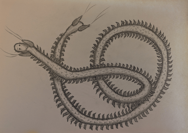 A graphite pencil sketch of a long worm-like creature with dozens of tiny legs. It is coiled up around itself, and at both the head and the tail it has two turrets that are shooting out silk. It has two simple round eyes on its head and tiny hairs all over its body.