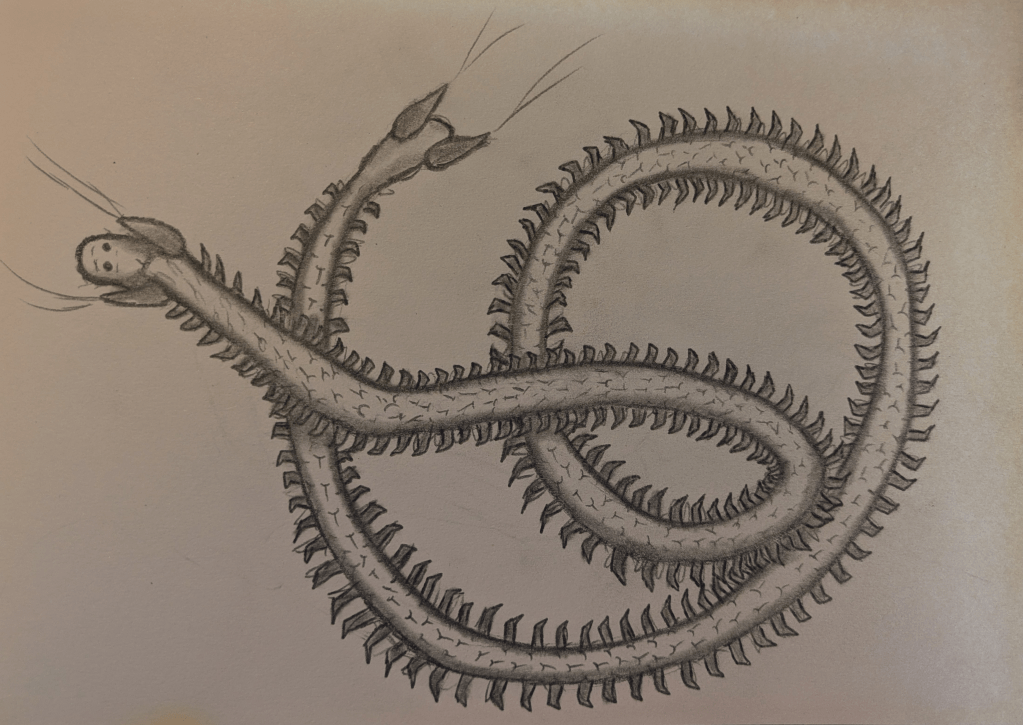A graphite pencil sketch of a long worm-like creature with dozens of tiny legs. It is coiled up around itself, and at both the head and the tail it has two turrets that are shooting out silk. It has two simple round eyes on its head and tiny hairs all over its body.